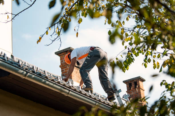 Best Residential Roofing Contractor  in Belleville, MI