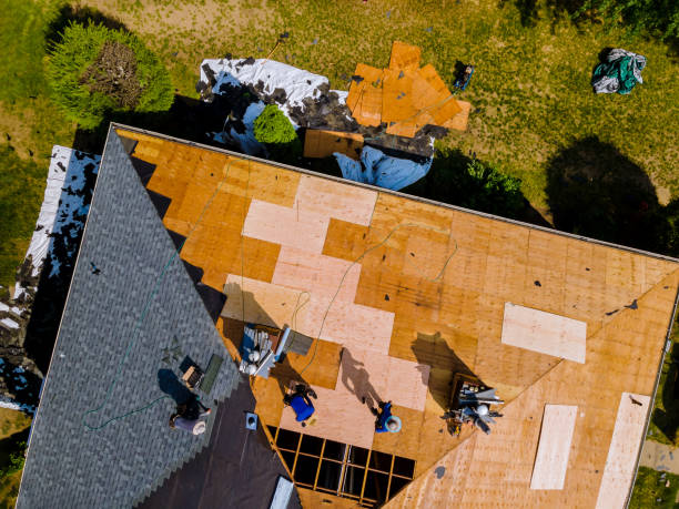 Best Roof Leak Repair  in Belleville, MI