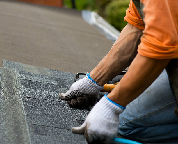 Quick and Trustworthy Emergency Roof Repair Services in Belleville, MI