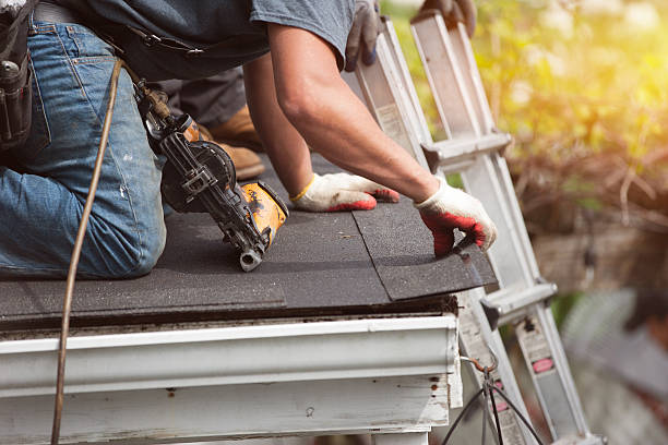 Roof Gutter Cleaning in Belleville, MI