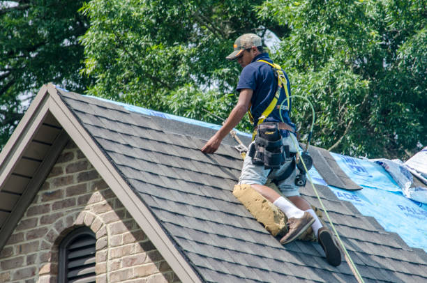 Best Roof Restoration Services  in Belleville, MI